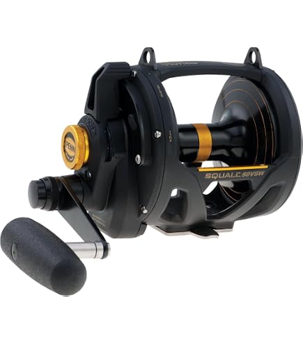 Amazon.com : PENN Fishing Squall II Star Drag Conventional Fishing